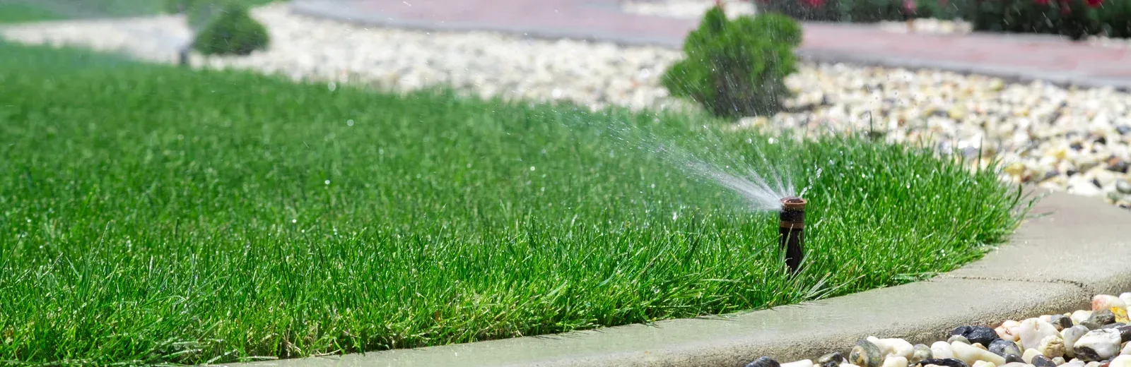 irrigation system