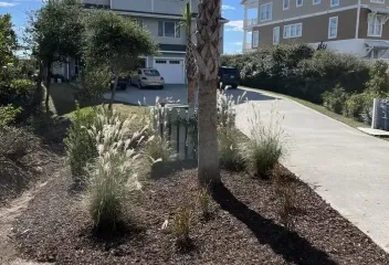 landscaping