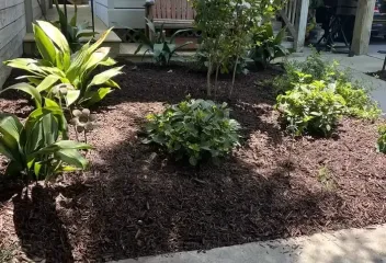 landscaping