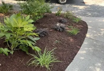landscaping