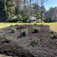 landscaping bed