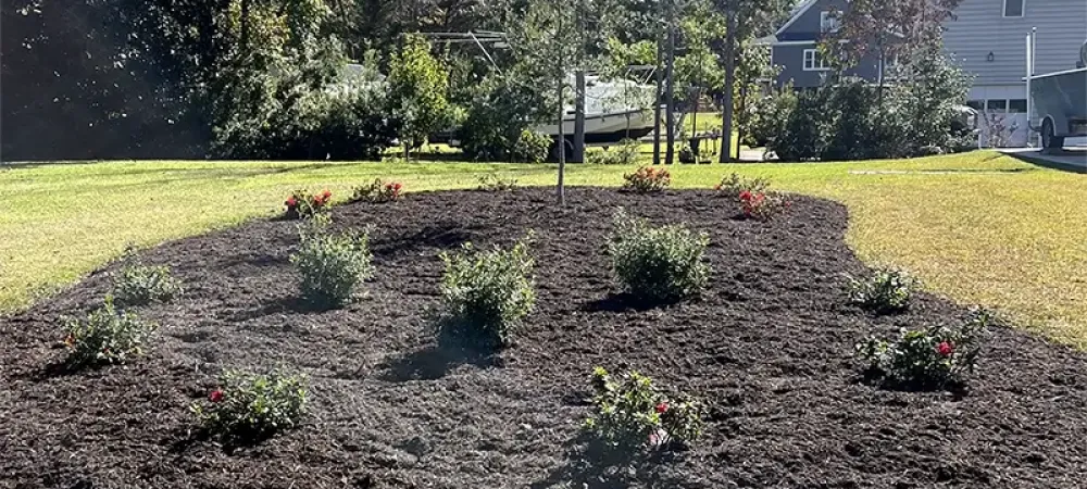 landscaping bed
