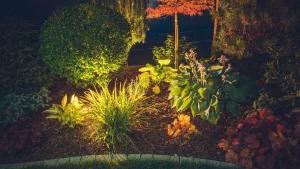 Read more about the article 4 Outdoor Lighting Techniques That Can Bring Your Property to Life at Night