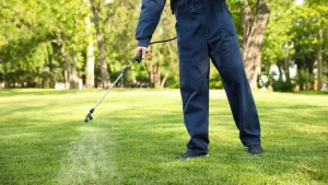 Read more about the article Pre- & Post-Emergent Weed Control: What Are They & Do You Need Both?