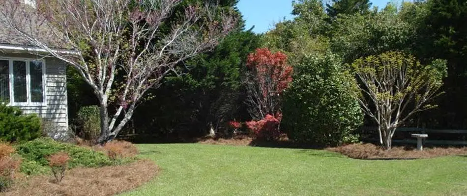 Read more about the article Why Your Yard Needs Custom Landscaping