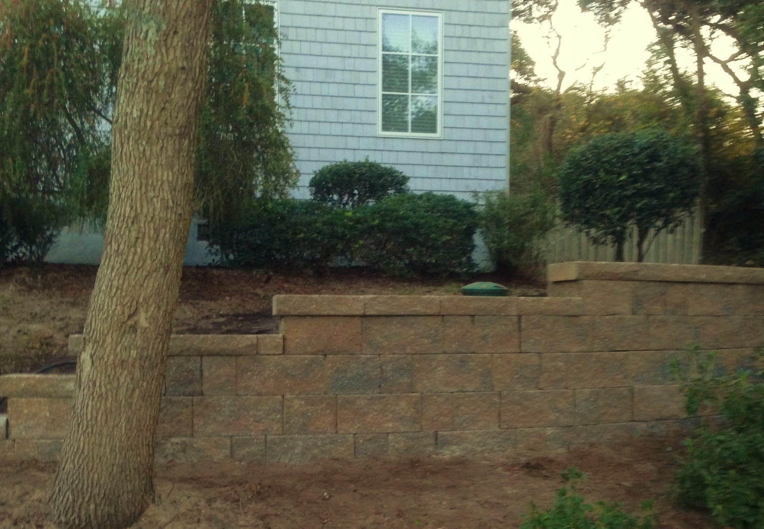 Stone retaining wall with trees and shrubs