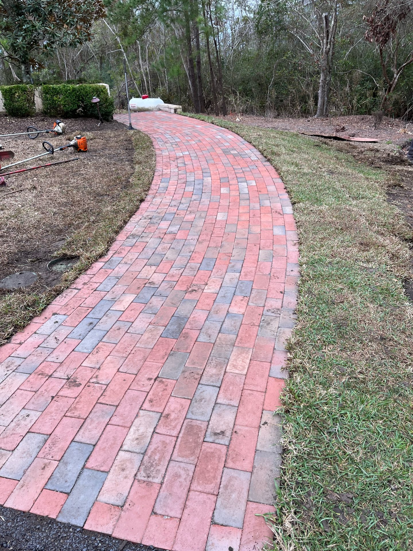 Curved brick walkway beside garden and trees