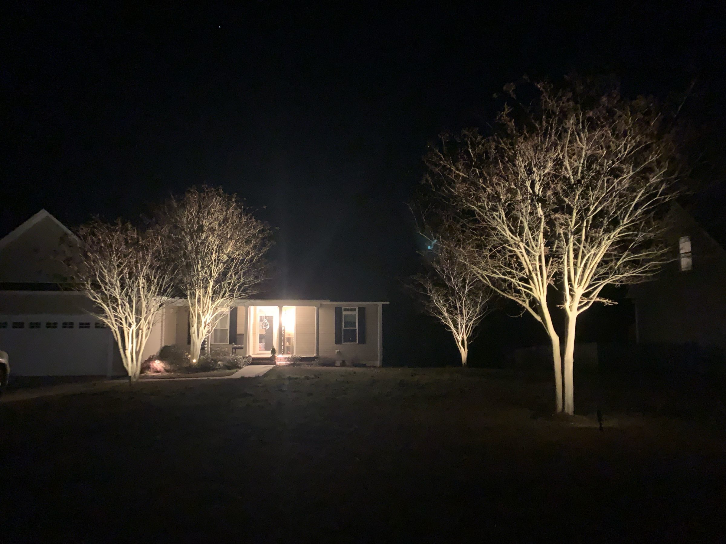 House with illuminated trees at night