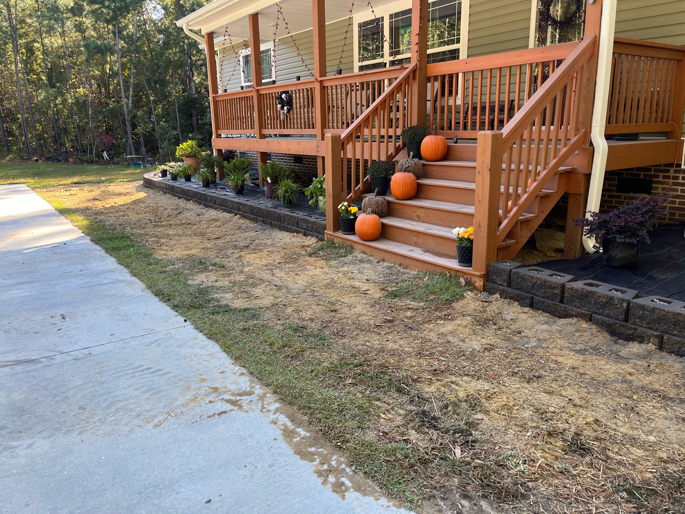 Front porch with pumpkins and plants decorating steps.