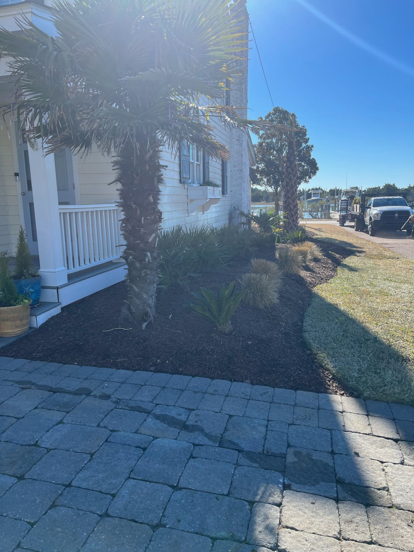 House with palm tree and parked truck