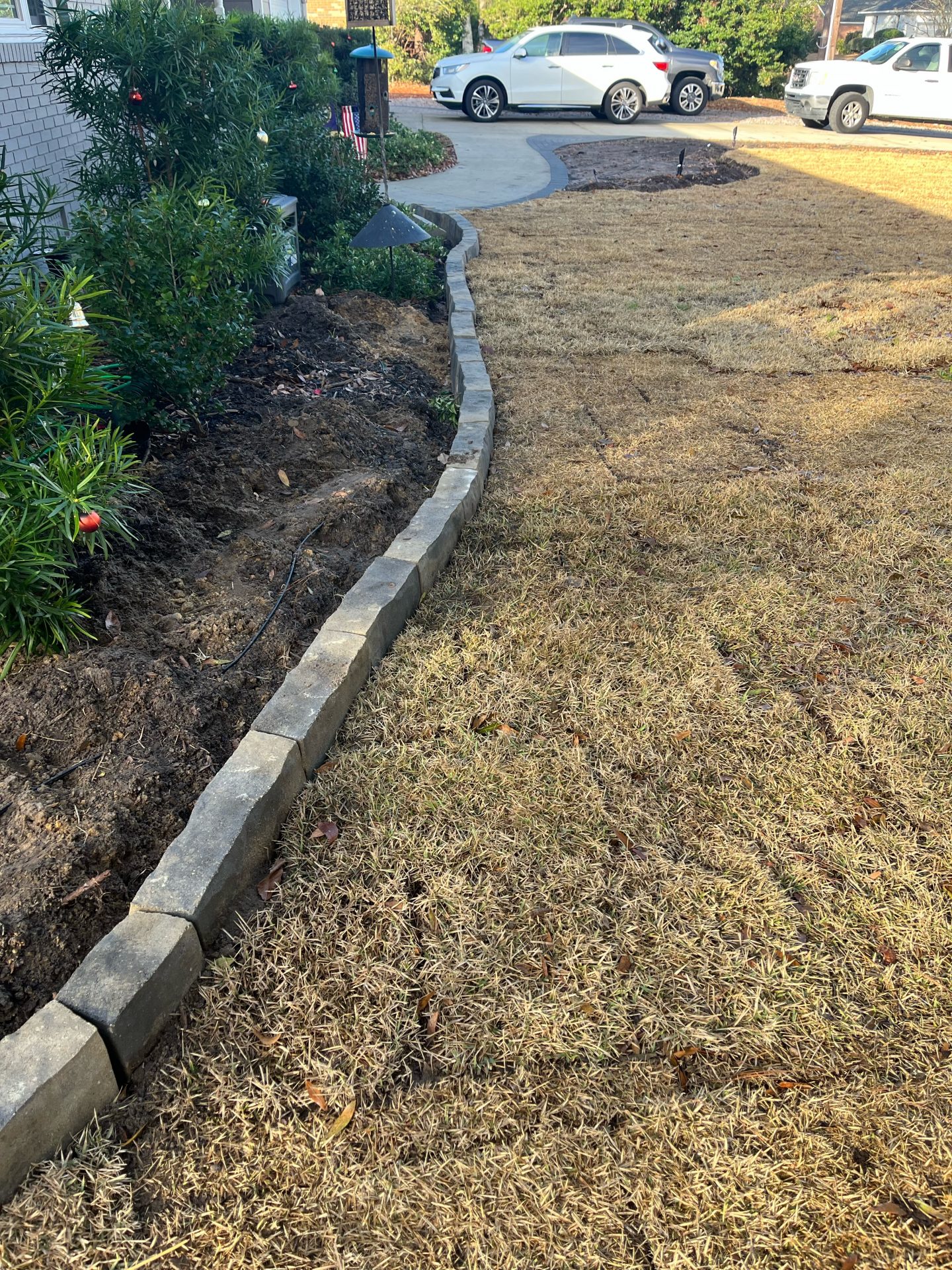 Garden border with grass and parked cars