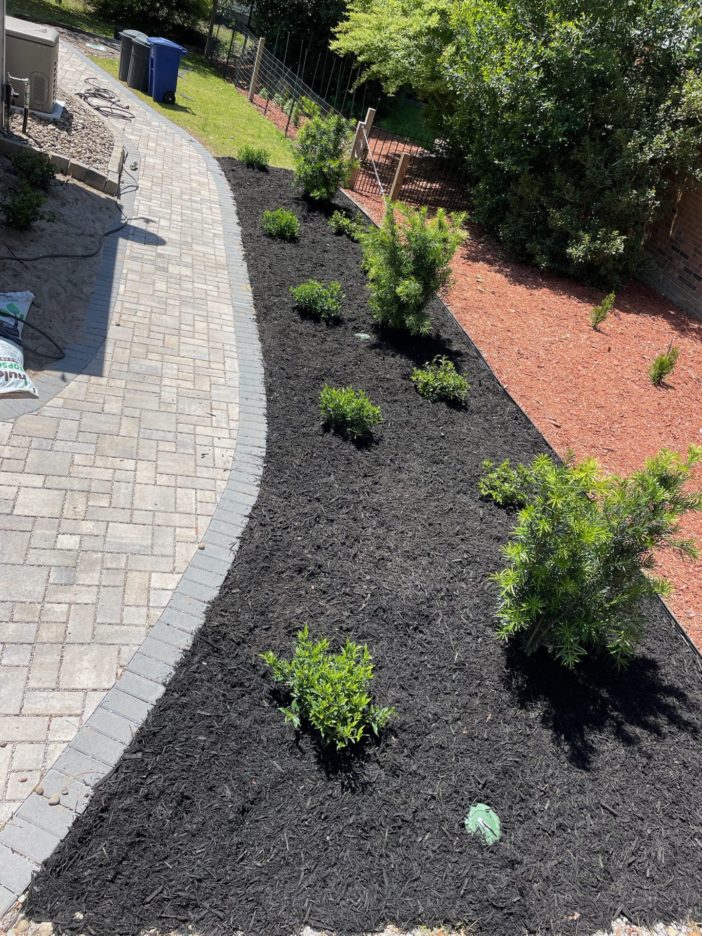 Landscaped garden with mulch and small plants.