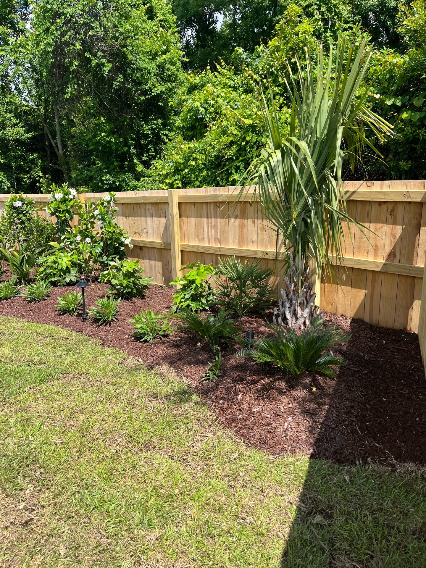 Lush garden with tropical plants and wooden fence.