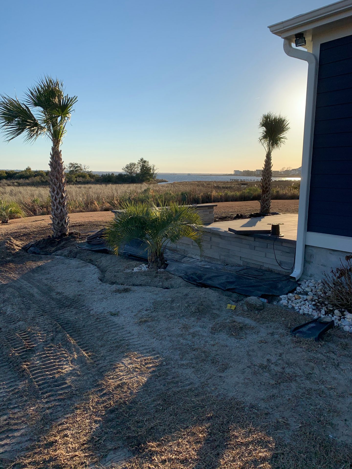 Coastal landscape with palm trees at sunset.