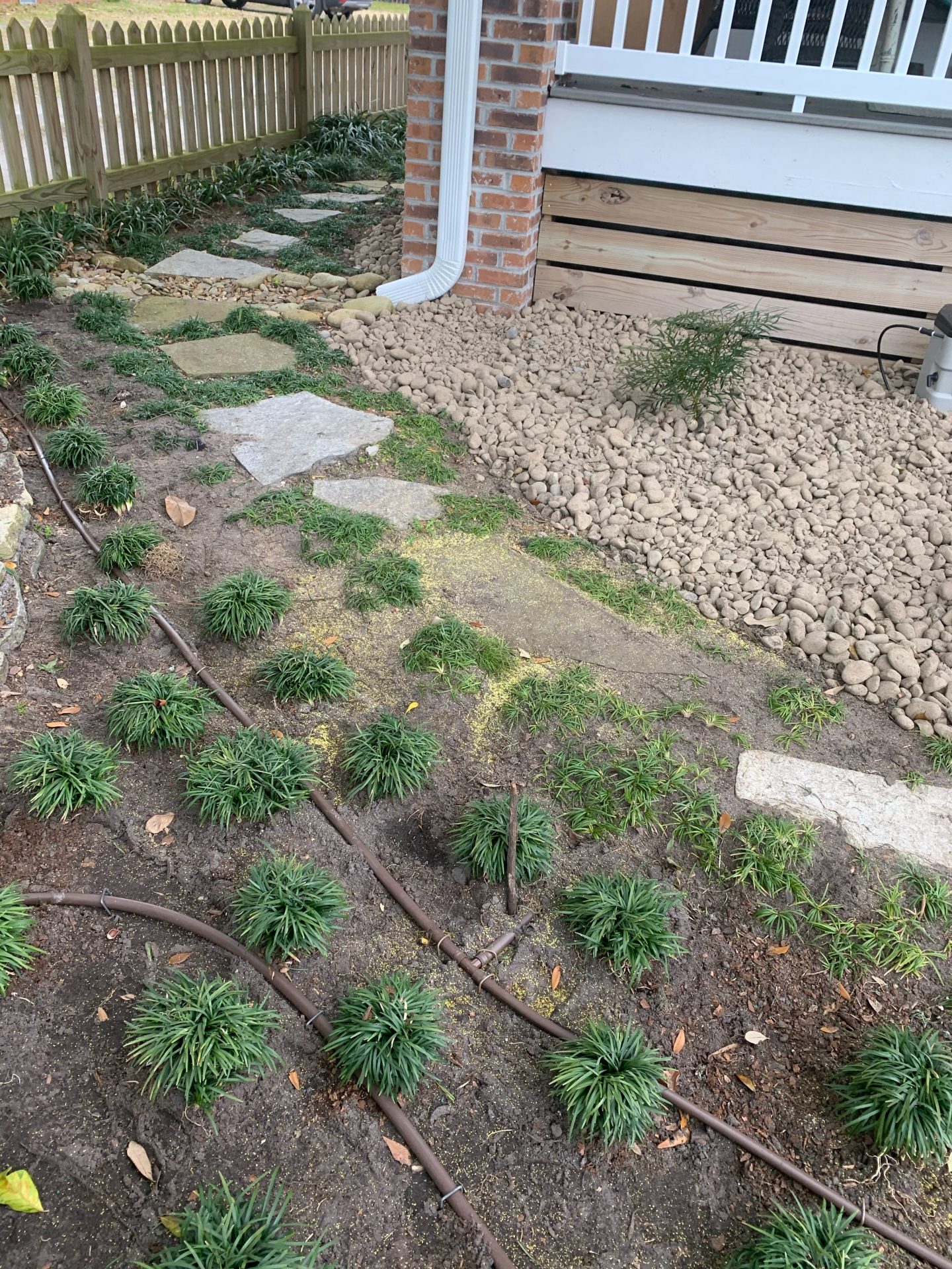 Garden path with stepping stones and green plants.