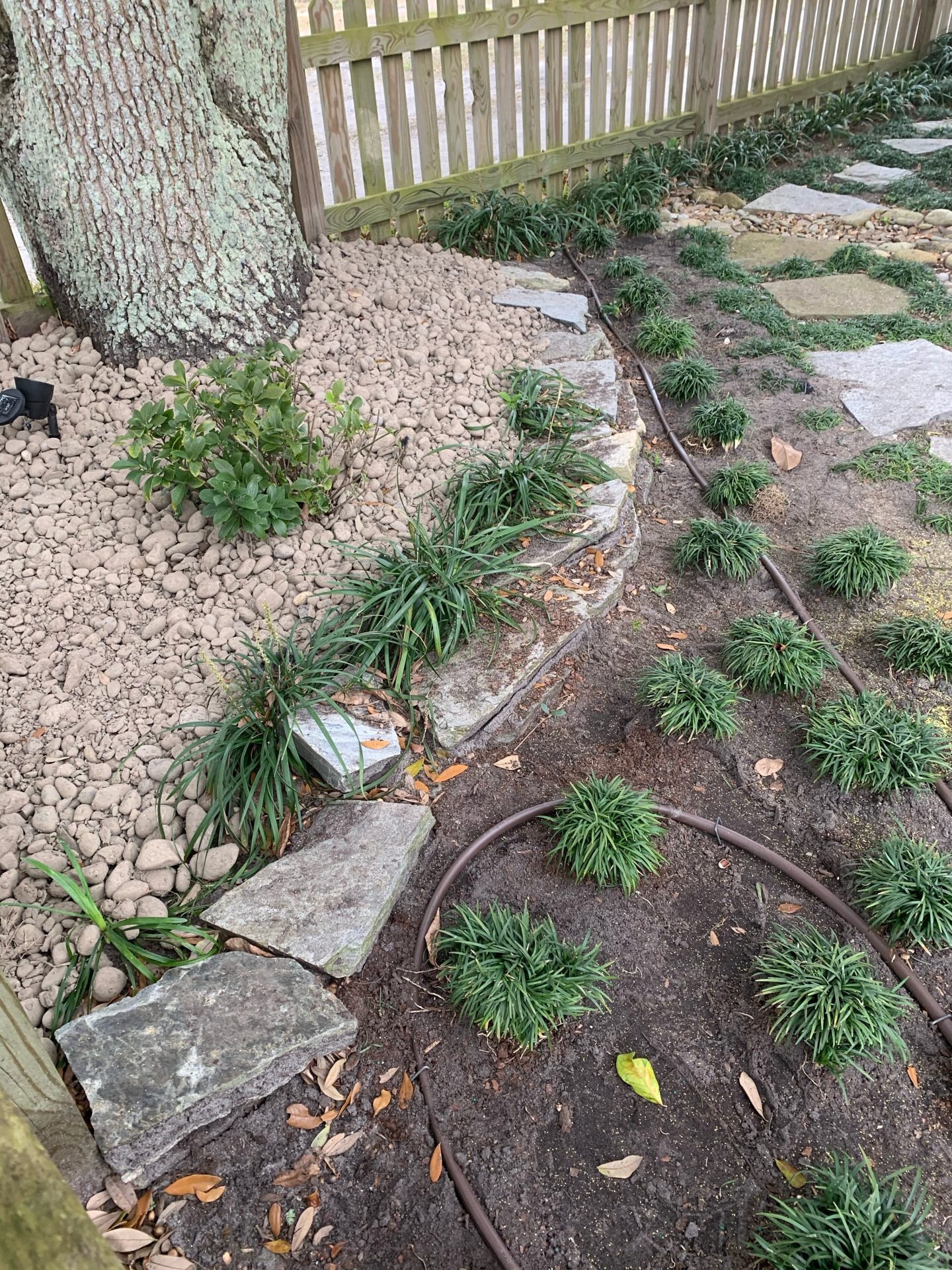 Garden path with stones and plants