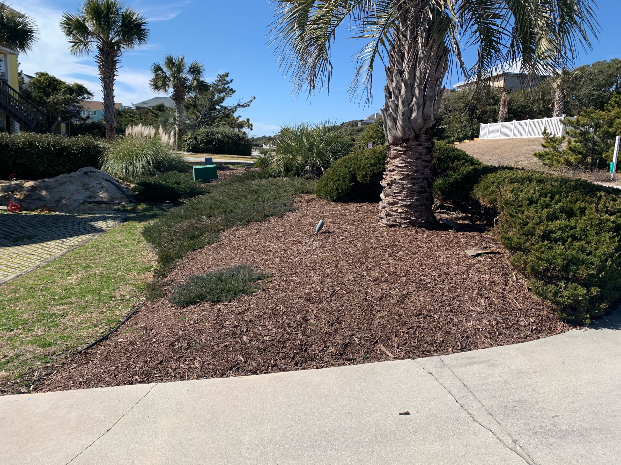 Sunny day with palm trees and landscaped garden.