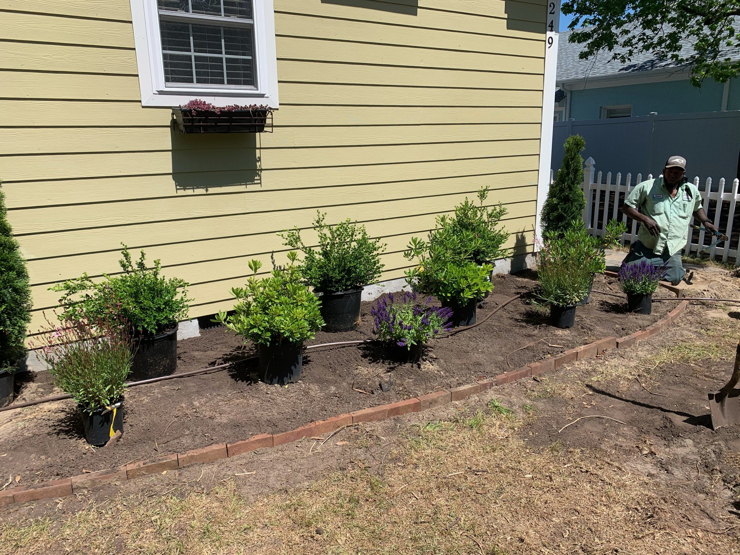 Garden border with potted plants and person working.