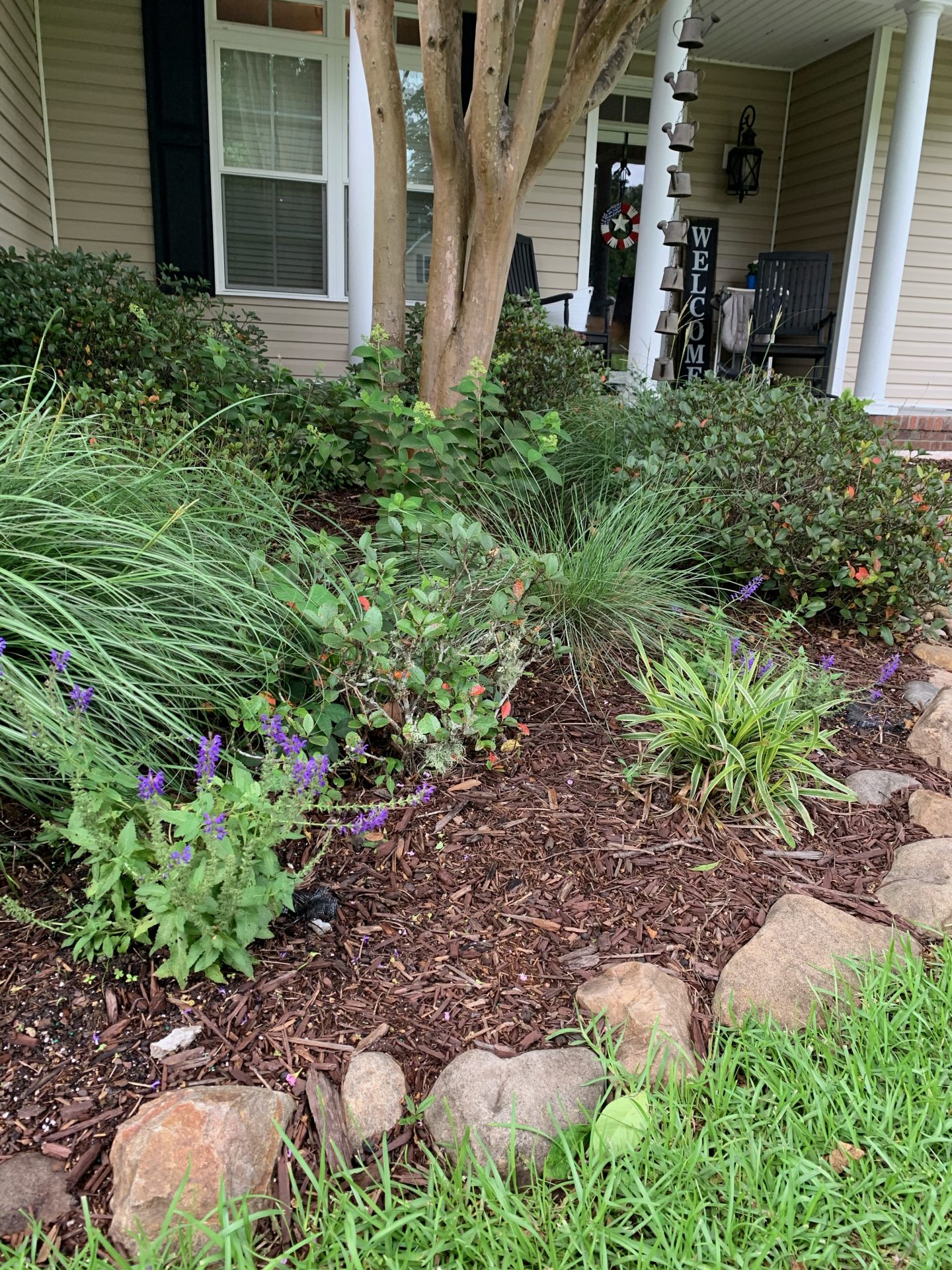 Front yard garden with mulch, shrubs, and flowers.