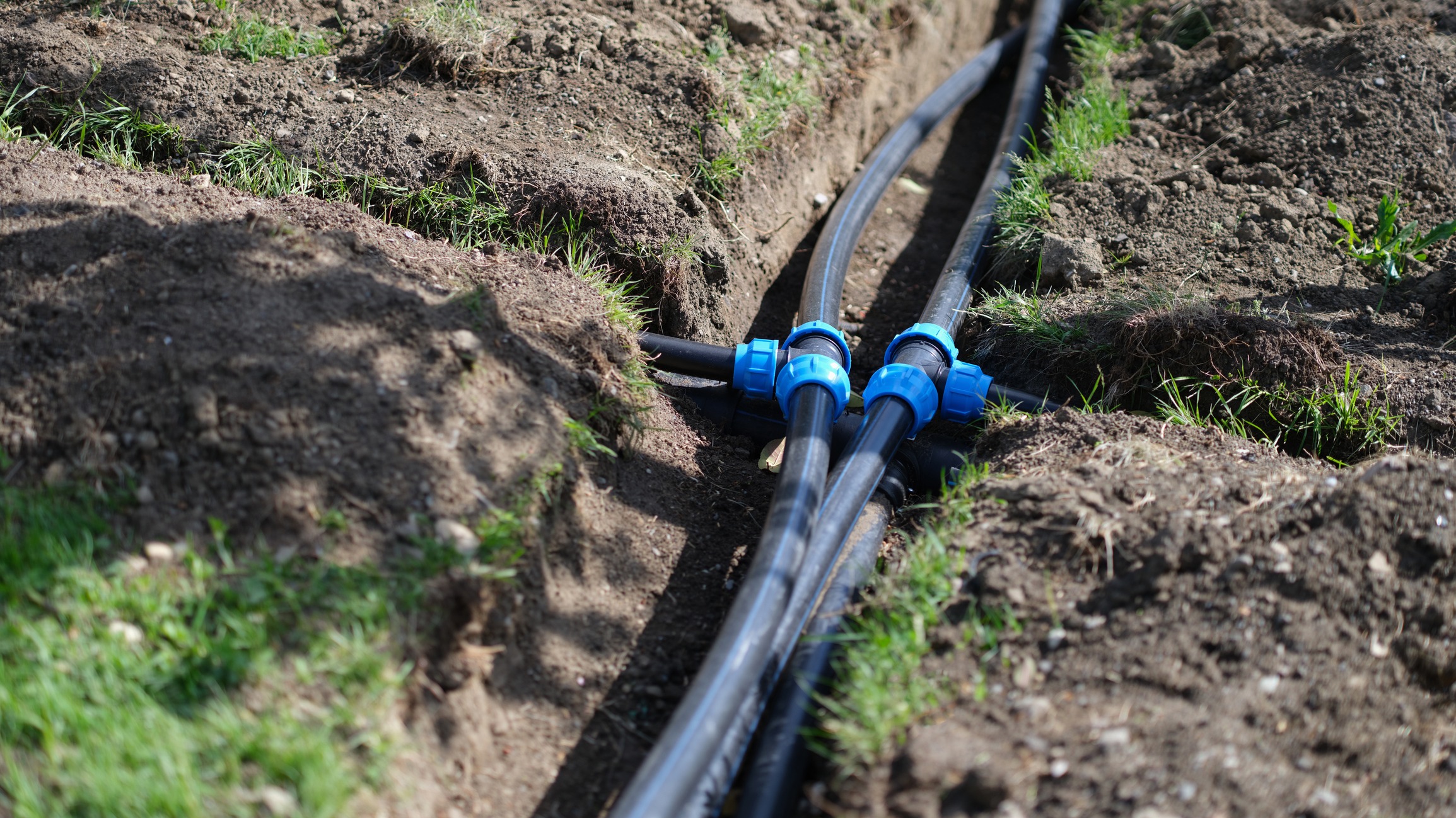 Buried PVC pipes with blue connectors in soil.