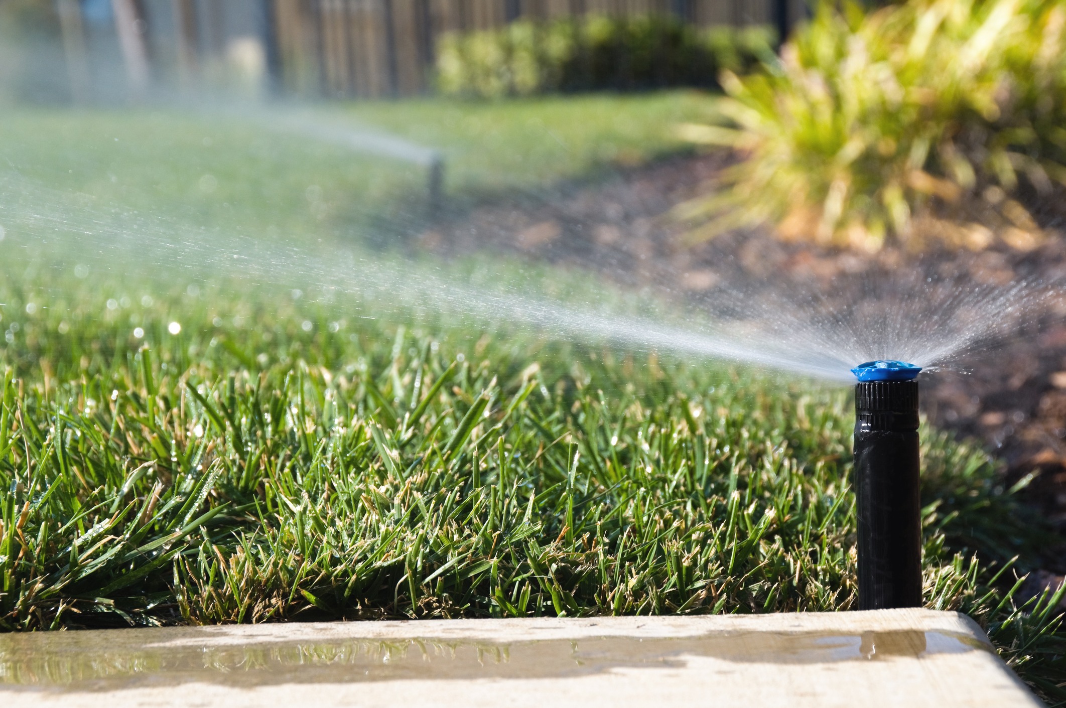 Lawn irrigation sprinkler watering green grass