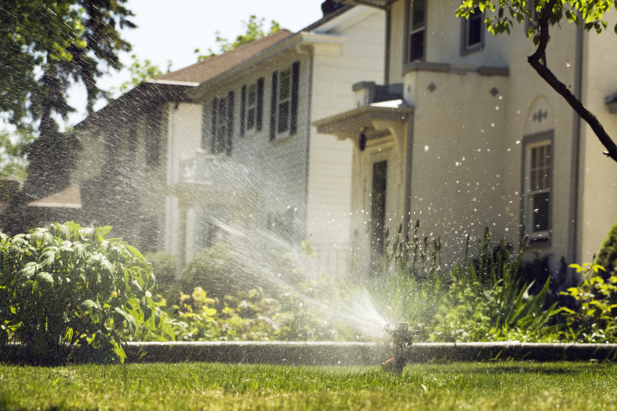 Sprinkler watering garden in front of house