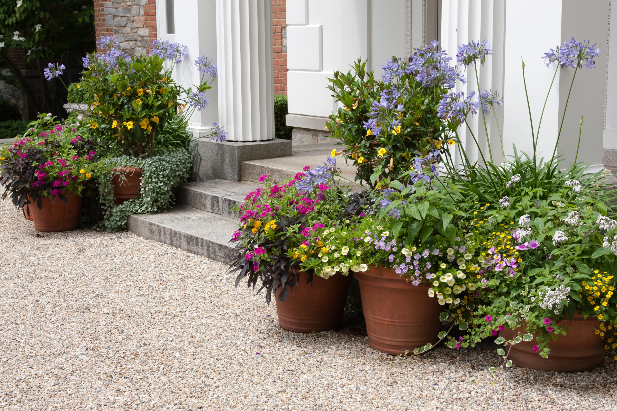 Colorful flower pots by elegant entrance steps