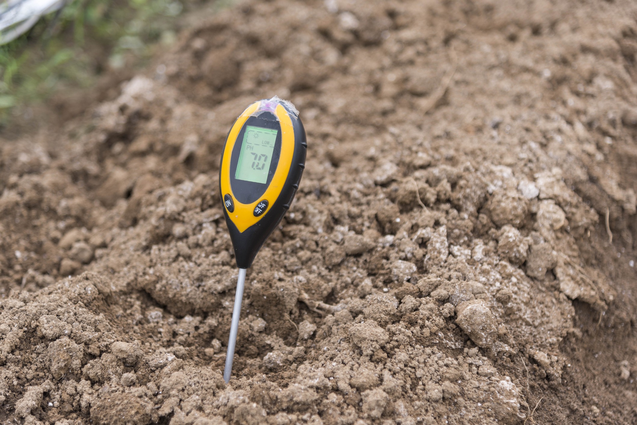 Soil pH meter reading 7.2 in dirt