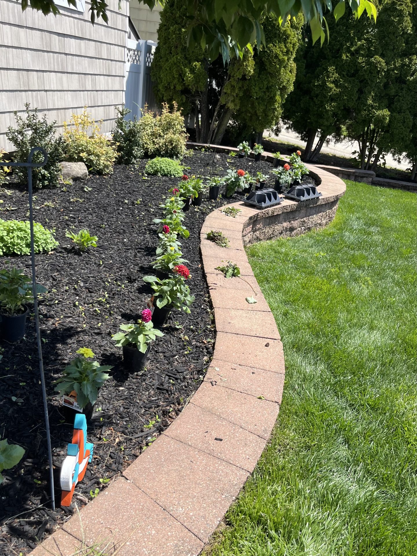 Curved garden bed with newly planted flowers.